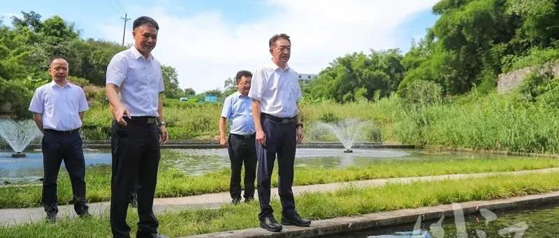 楊林興帶隊赴龍馬潭區(qū)調(diào)研督導(dǎo)學(xué)習(xí)宣傳貫徹習(xí)近平總書記來川視察重要指示精神工作