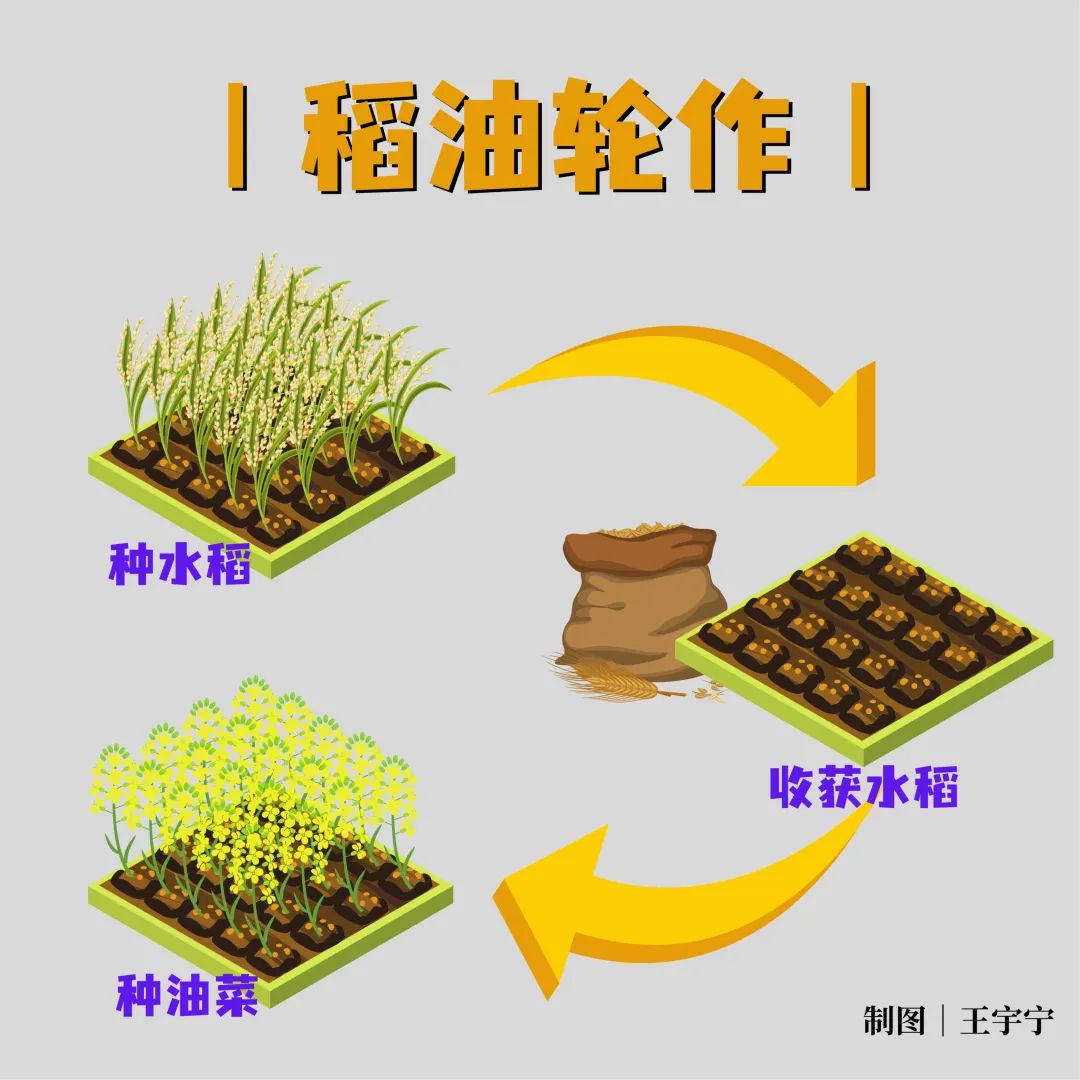 2.jpg 2.jpg