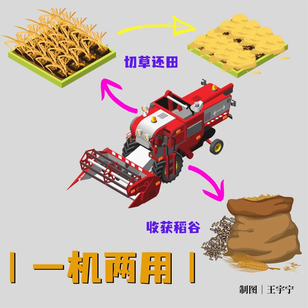 3.jpg 3.jpg