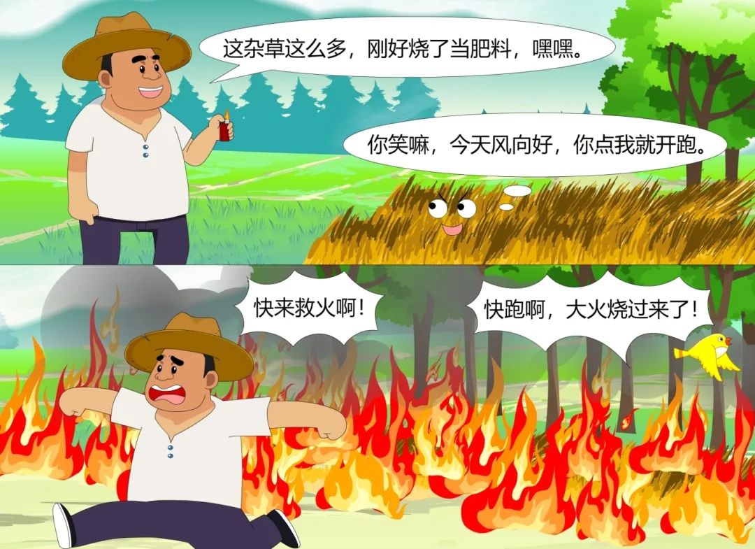 3.jpg 3.jpg